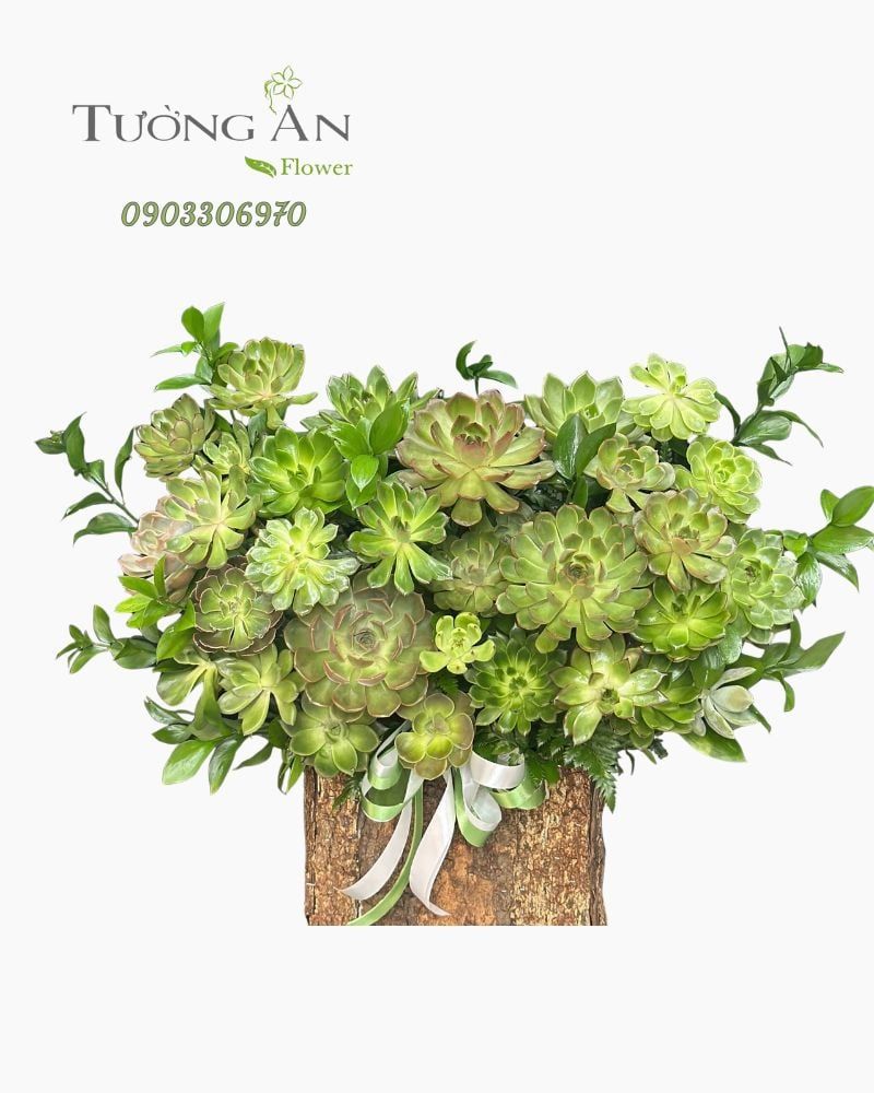  Hoa Cắm Hộp Lộc Xanh An Nhiên- HCH40 