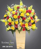  Hoa Cắm Hộp An Lành - S234 