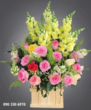  Hoa Cắm Hộp Hát Ca - A284 