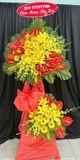  Hoa Chúc Mừng Khởi Đầu Hưng Thịnh - HCM83 
