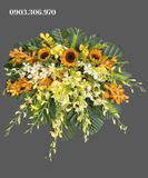  Bục Hào Quang - BN9 