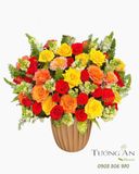  Hoa Cắm Hộp Rực Rỡ Phồn Hoa - HCH113 