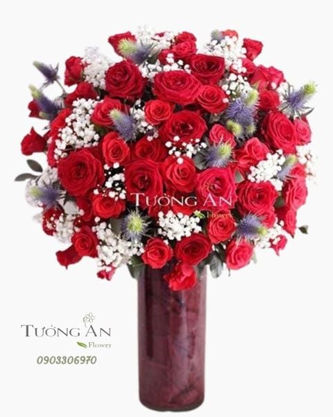 binh-hoa-best-wishes-s570