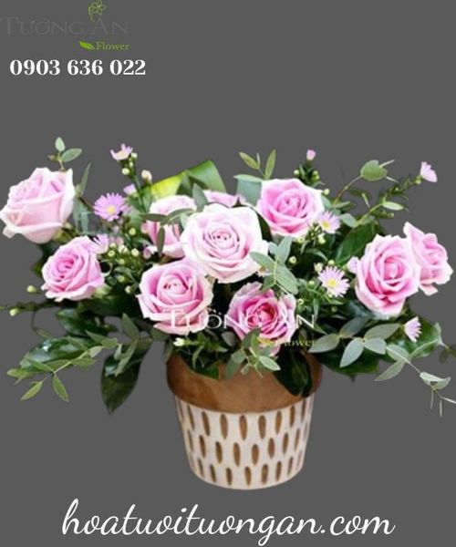 Bình Hoa Hồng Xinh
