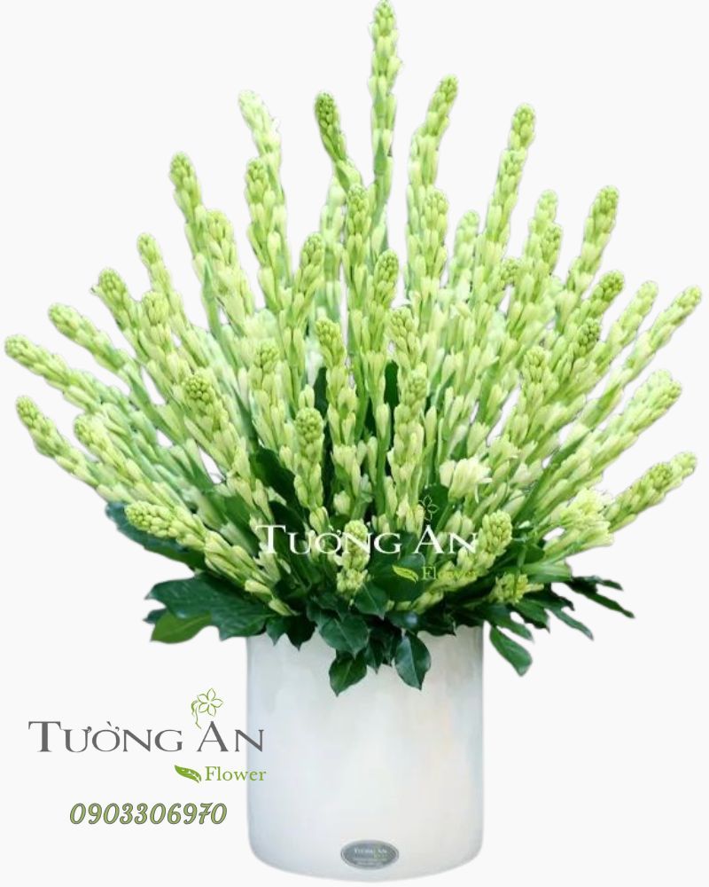  Bình Hoa Huệ - A154 