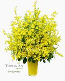  Bình Hoa Lan Vũ Nữ - S582 