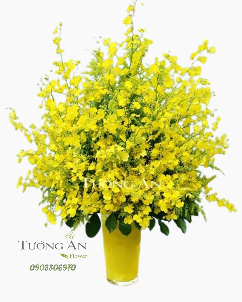  Bình Hoa Lan Vũ Nữ - S582 