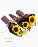  Bó Hoa Ánh Dương - S277 