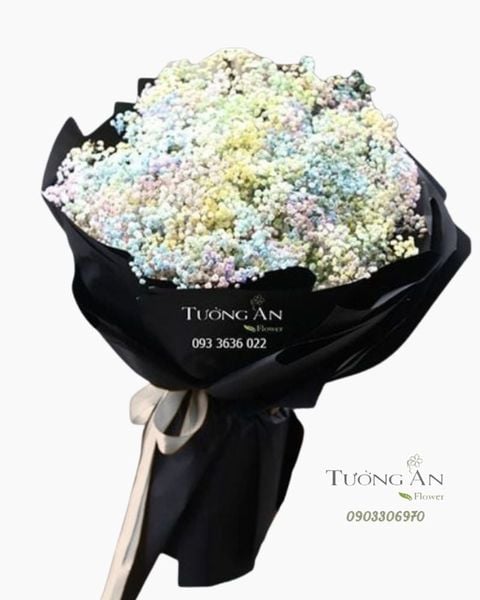 bo-hoa-babi-rainbow-s438