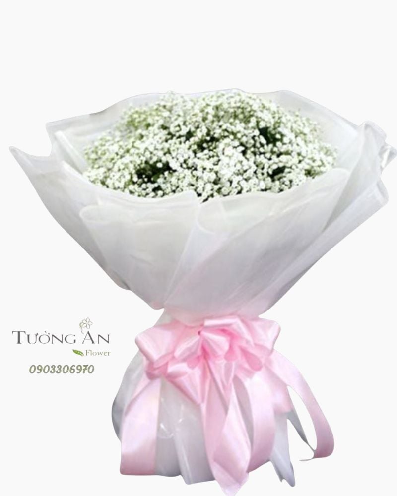  Bó Hoa Baby Trắng - S446 