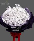  Bó Hoa Babi Tinh Khôi - S439 