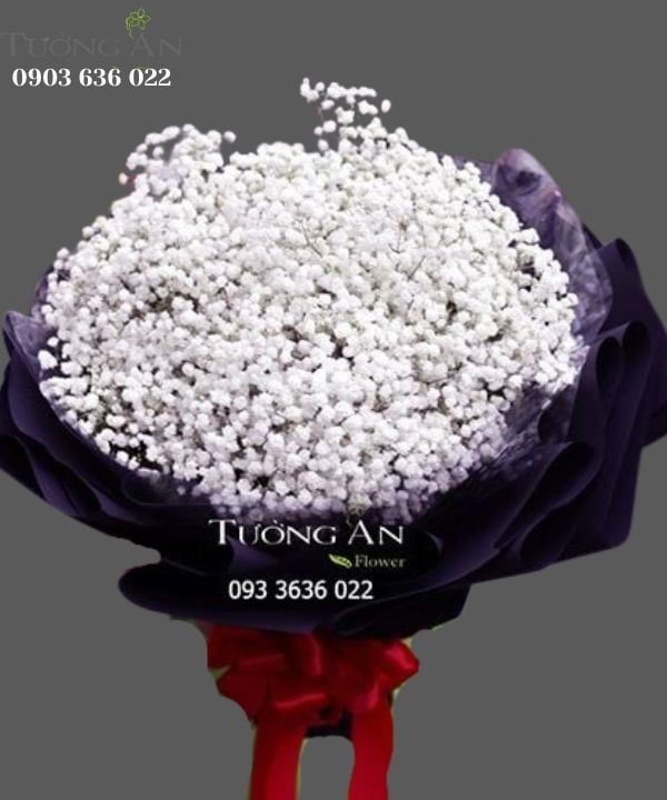  Bó Hoa Babi Tinh Khôi - S439 