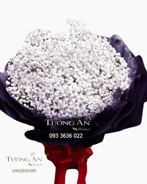 bo-hoa-babi-tinh-khoi-s439