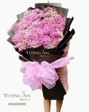  Bó Hoa Baby big size - S217 