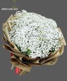  Bó Hoa Baby One More Time - S200 