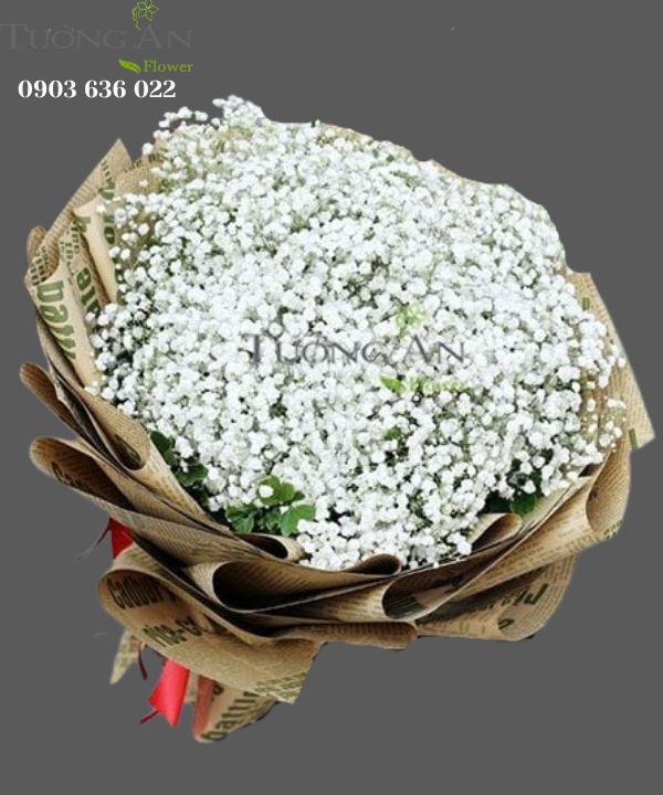  Bó Hoa Baby One More Time - S200 