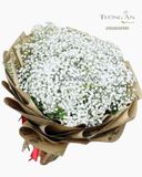  Bó Hoa Baby One More Time - S200 