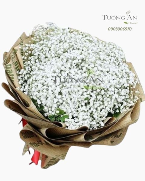 bo-hoa-baby-one-more-time-s200