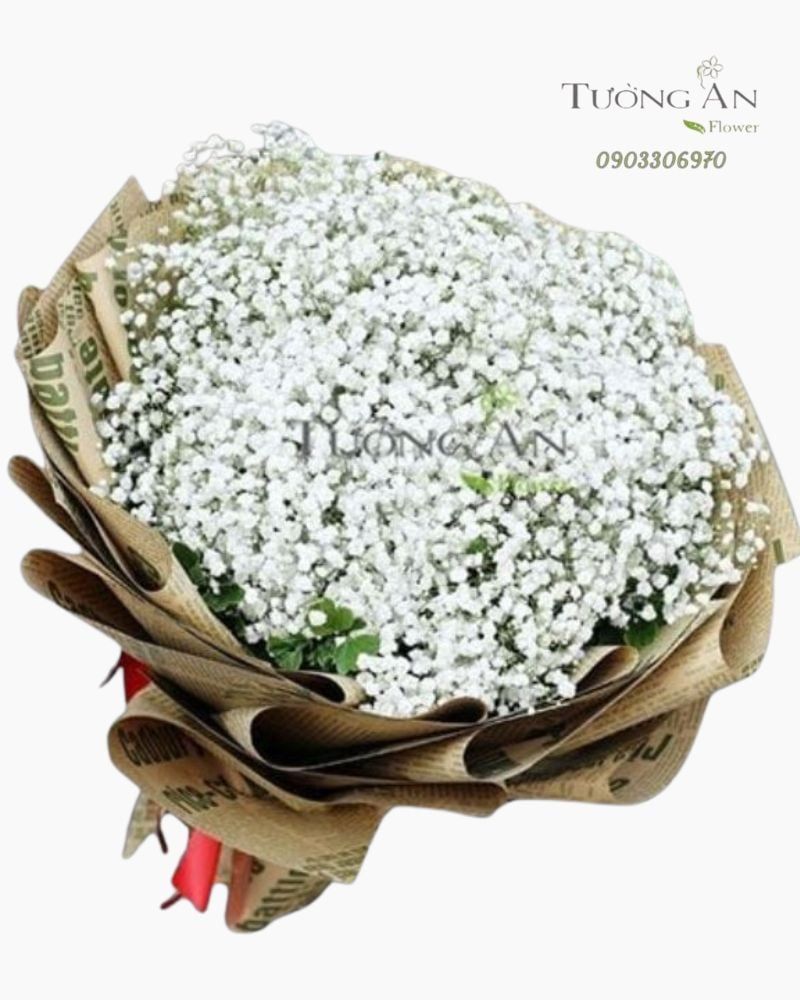  Bó Hoa Baby One More Time - S200 