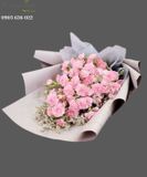  Bó Hoa Cẩm Chướng - S420 