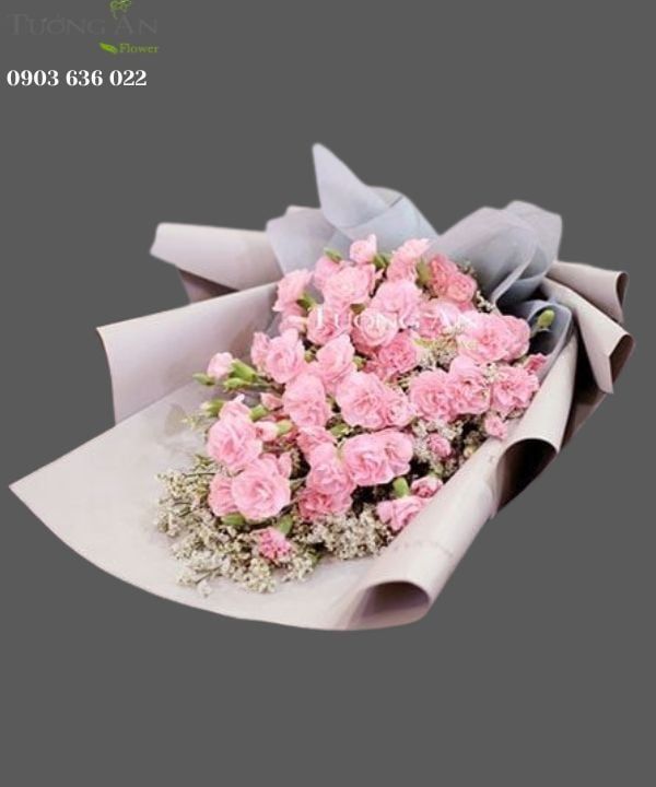  Bó Hoa Cẩm Chướng - S420 