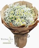  Bó Hoa Cúc Tana - A16 