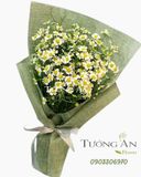  Bó Hoa Cúc Tana - A73 