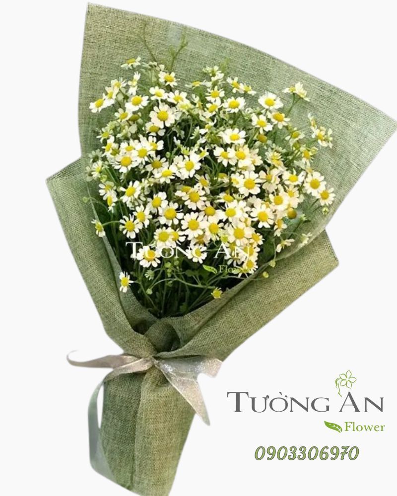  Bó Hoa Cúc Tana - A73 