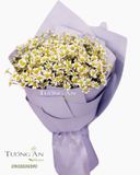  Bó Hoa Cúc Tana - S435 