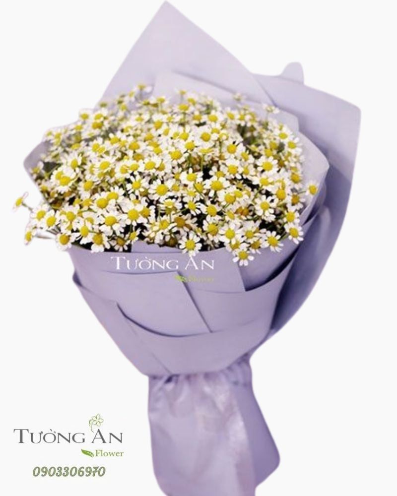  Bó Hoa Cúc Tana - S435 