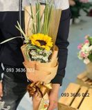  Bó Hoa Hướng Dương - S103 