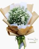  Bó Hoa Thạch Thảo - S537 