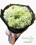  Bó Hoa Tú Cầu - S206 