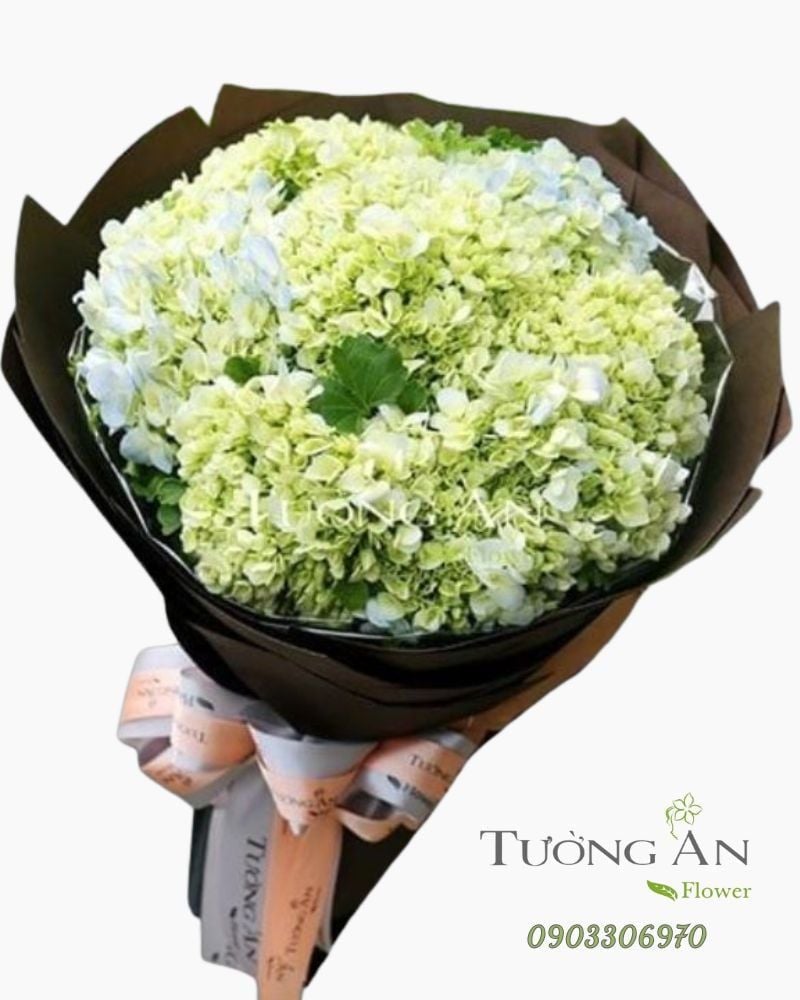  Bó Hoa Tú Cầu - S206 