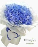  Bó Hoa Xanh Biển - A4 