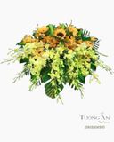  Bục Ánh Sáng - BN3 