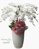  Chậu 12 Cành lan Hồ Điệp Trắng - S870 