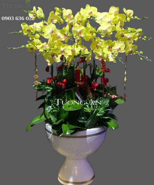 chau-15-canh-lan-ho-diep-vang-s929