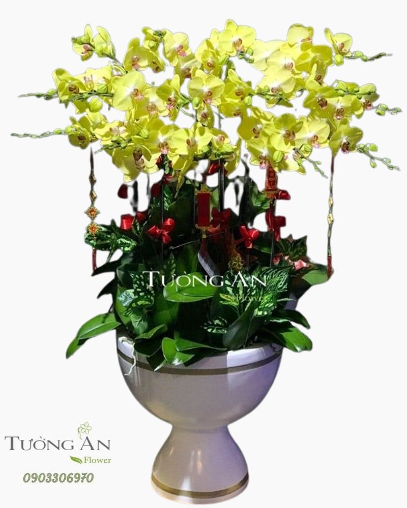  Chậu 15 Cành Lan Hồ Điệp Vàng - S929 