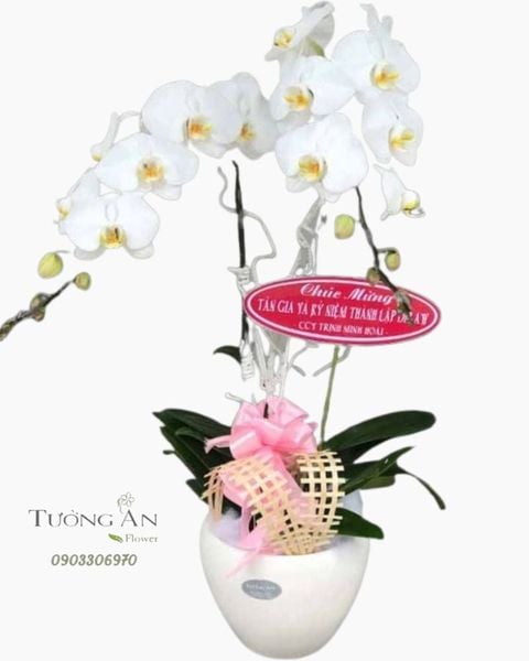 chau-hoa-phat-trien-s800