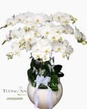  Chậu Hoa Viếng Sáng Người - S684 