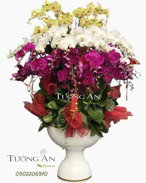 chau-lan-ho-diep-dep-s894