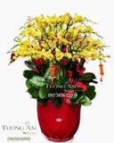  Chậu Lan Hồ Điệp Lớn - S881 