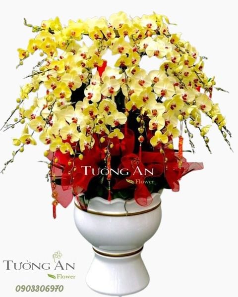 chau-lan-ho-diep-ngay-vinh-quang-s768