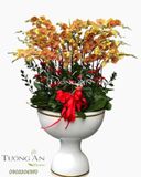  Chậu Lan Hồ Điệp Ngày Xuân Hạnh Phúc - S792 