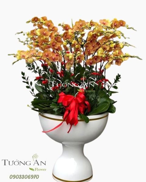 chau-lan-ho-diep-ngay-xuan-hanh-phuc-s792