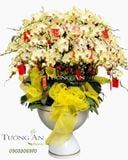  Chậu Lan Hồ Điệp Phú Quý Trọn Đời - S782 