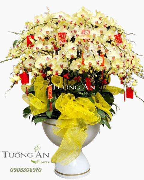 chau-lan-ho-diep-phu-quy-tron-doi-s782