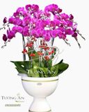  Chậu Lan Hồ Điệp Phúc Lộc Thọ - S783 