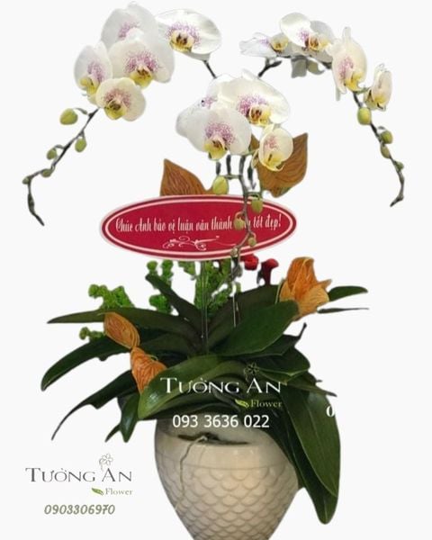 chau-lan-ho-diep-s883